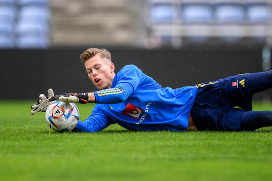 goalkeeper Leopold Wahlstedt of the Swedish men's football