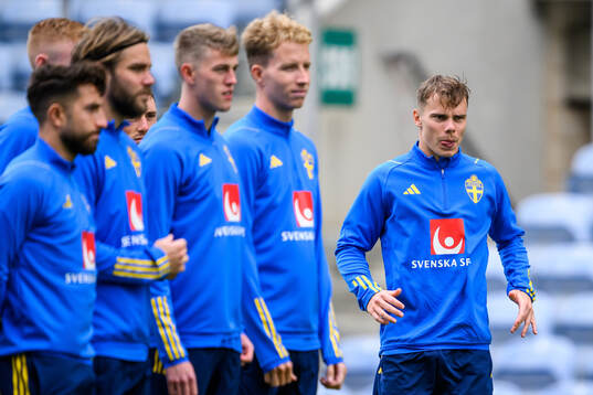 Moustafa Zeidan, Christoffer Nyman, Alexander Bernhardsson,