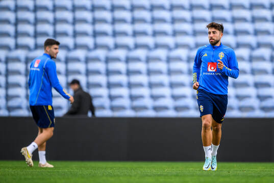 Moustafa Zeidan of the Swedish men's football national team