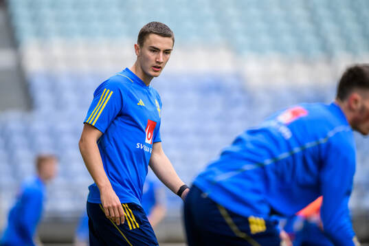 Gustaf Lagerbielke of the Swedish men's football national