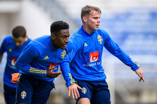 Josafat Mendes and Elias Andersson of the Swedish men's
