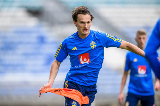 Hjalmar Ekdal of the Swedish men's football national team