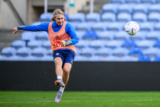 Sebastian Nanasi of the Swedish men's football national