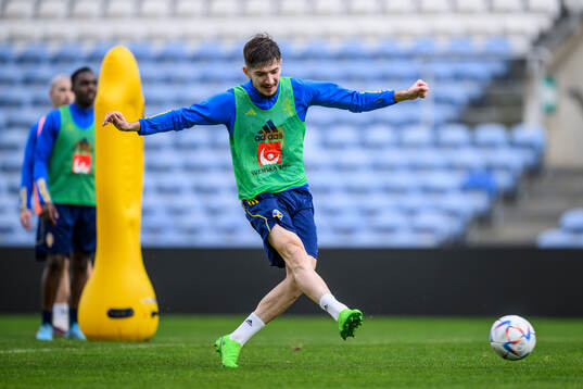Armin Gigovic of the Swedish men's football national team
