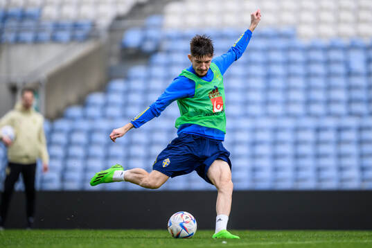 Armin Gigovic of the Swedish men's football national team
