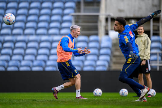 Jacob Ondrejka and goalkeeper Oliver Dovin of the Swedish