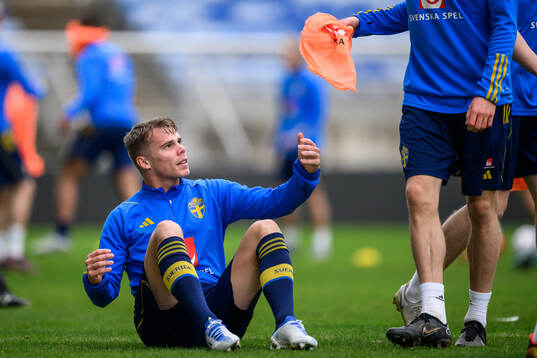 Elias Andersson of the Swedish men's football national team
