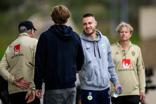 Johan Bångsbo and Mattias Svenberg of the Swedish men's