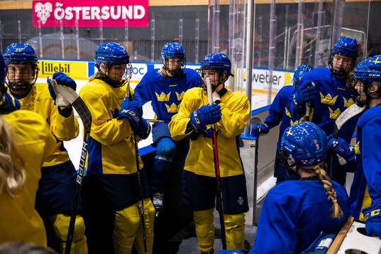 Players of Sweden at a practice session