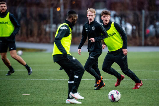 David Edvardsson