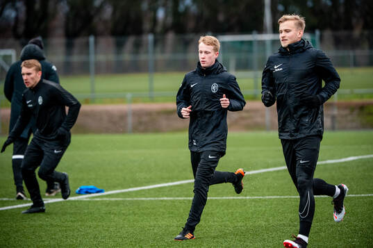 David Edvardsson och Johan Rapp