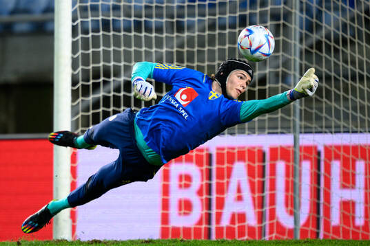 Goalkeeper Jacob Widell Zetterström