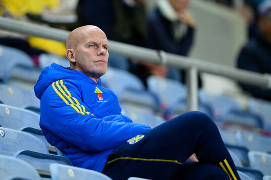Jens T Andersson, head of the Swedish delegation