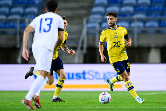 Moustafa Zeidan of Sweden