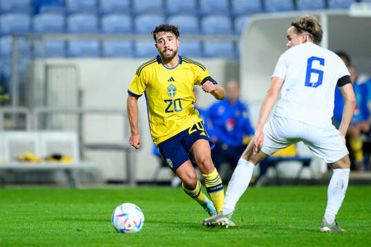 Moustafa Zeidan of Sweden