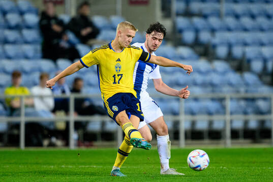 Carl Gustafsson of Sweden and Agon Sadiku of Finland