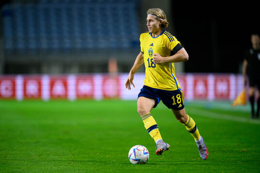 Sebastian Nanasi of Sweden