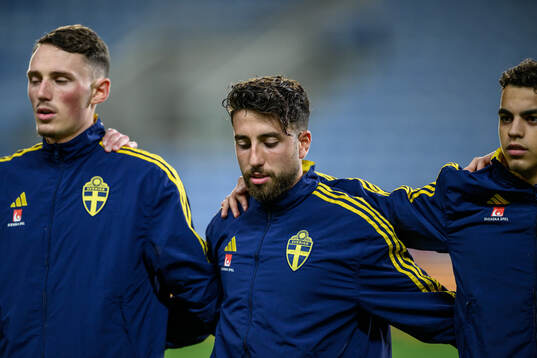 Moustafa Zeidan of Sweden