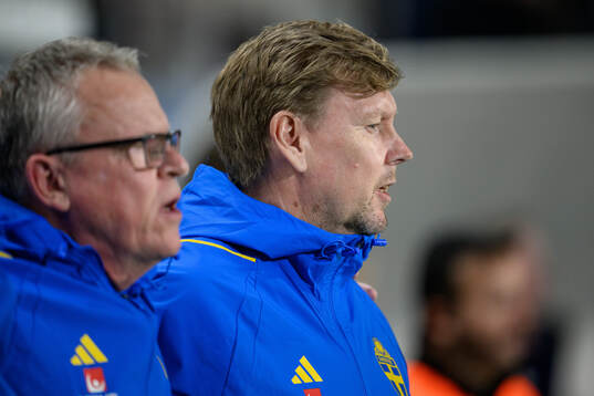assistant coach Peter Wettergen of Sweden