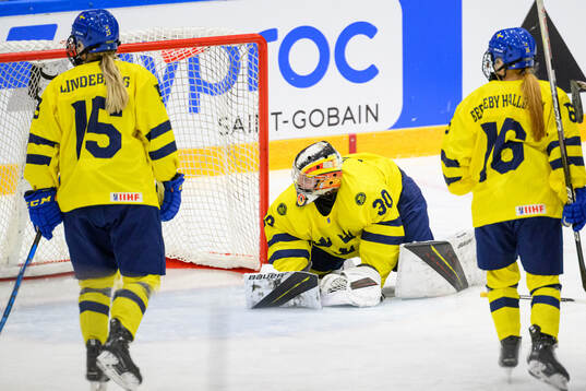 Goaltender Felicia Frank looks dejected