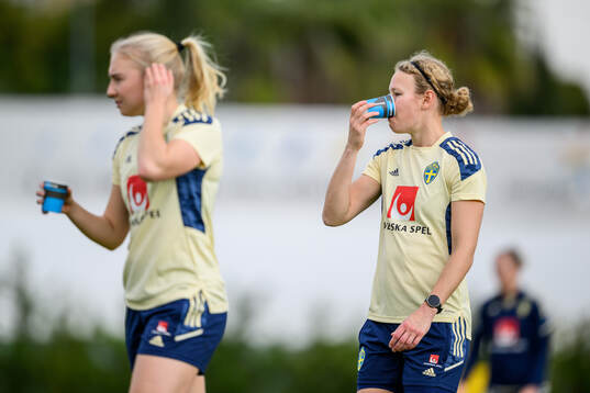 goalkeeper Cajsa Andersson of the Swedish women's football