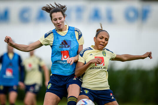 Nellie Karlsson and Madelen Janogy of the Swedish women's
