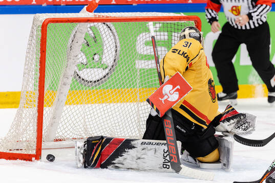Goaltender Matteus Ward