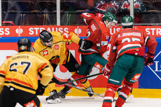 Linus Fröberg and Max Friberg of Frölunda