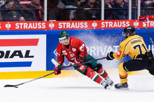 Ryan Lasch of Frölunda  and Linus Fröberg of Luleå