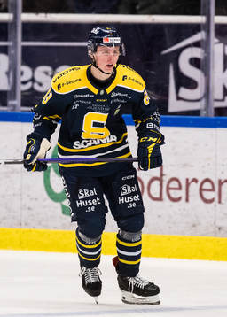 Södertäljes Ludvig Jansson