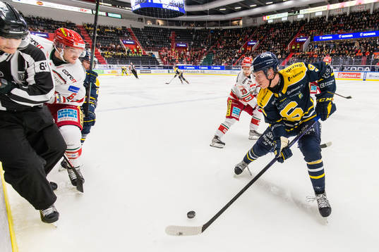 Södertäljes Leon Wallner