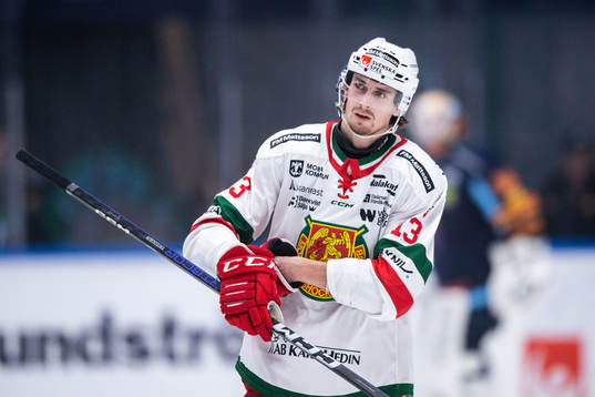 Moras Fabian Ilestedt deppar