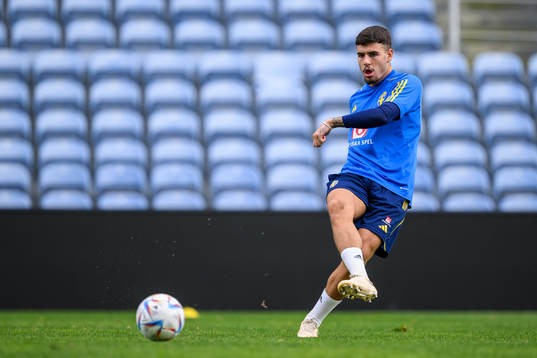 Edvin Kurtulus of the Swedish men's football national team