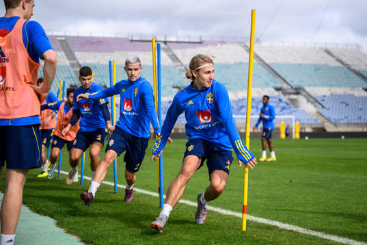 Jacob Ondrejka and Sebastian Nanasi of the Swedish men's