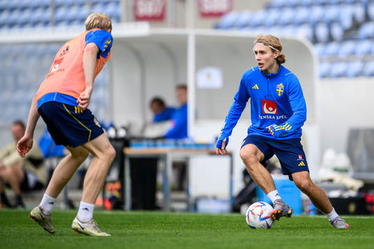 Sebastian Nanasi of the Swedish men's football national