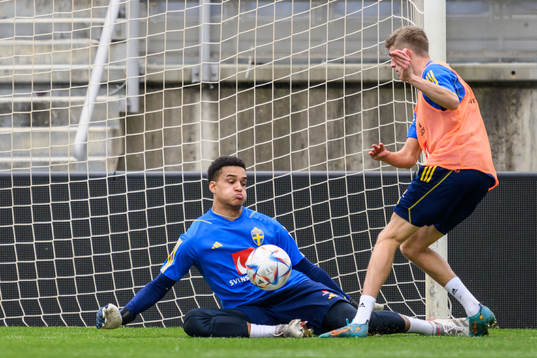 goalkeeper Oliver Dovin and Alexander Bernhardsson of the