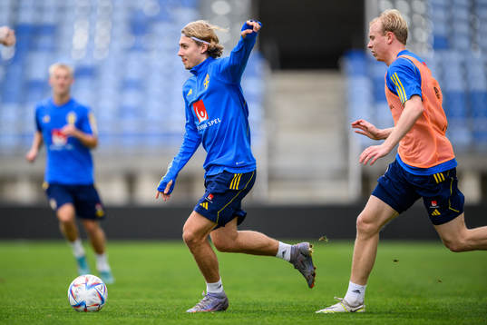 Sebastian Nanasi of the Swedish men's football national