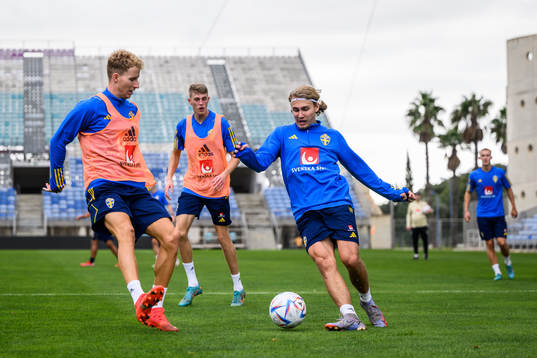 Samuel Gustafson and Sebastian Nanasi of the Swedish men's