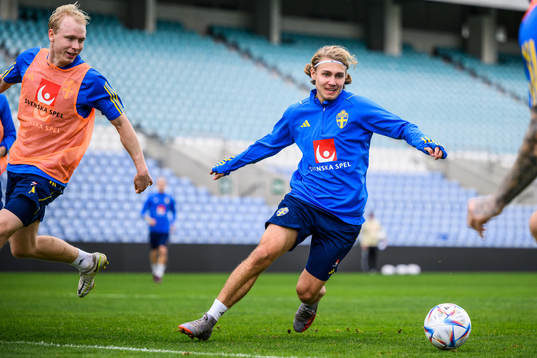 André Boman and Sebastian Nanasi of the Swedish men's