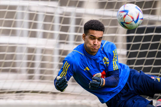 goalkeeper Oliver Dovin of the Swedish men's football
