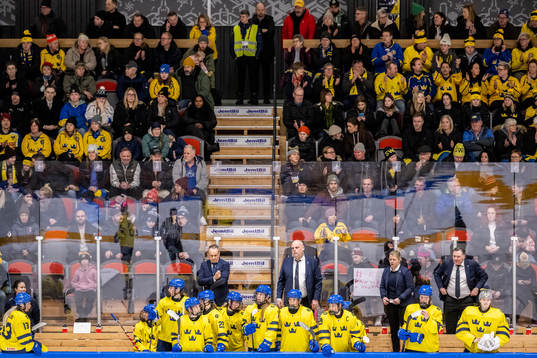 Players and staff of Sweden
