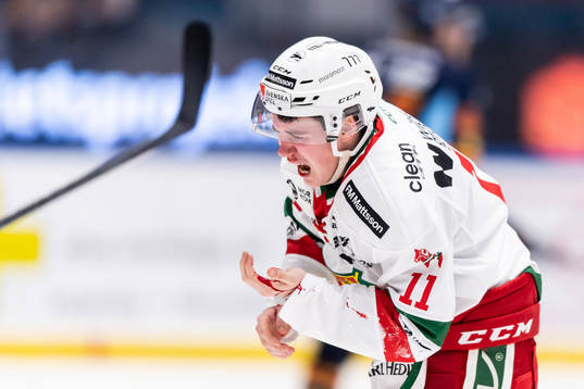 under ishockeymatchen i Hockeyallsvenskan mellan