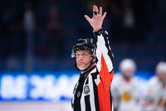 Domare Mikael Nord