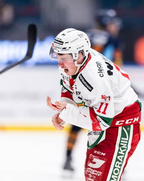 under ishockeymatchen i Hockeyallsvenskan mellan