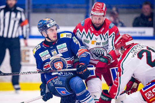 Växjös Hardy Häman Aktell och Frölundas Jan Mursak