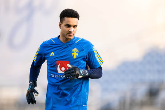 goalkeeper Oliver Dovin of Sweden