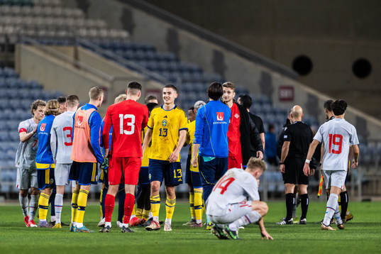 Gustaf Lagerbielke of Sweden and goalkeeper Hakon Rafn