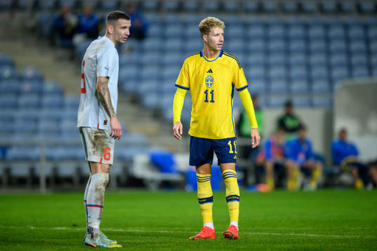 Damir Muminovic of Iceland and Samuel Gustafson of Sweden