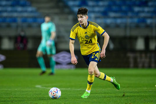 Armin Gigovic of Sweden