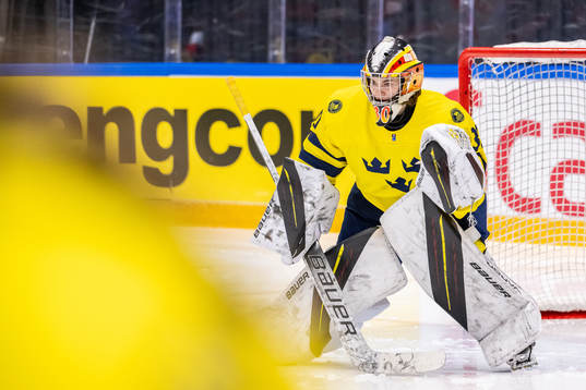 Goaltender Felicia Frank of Sweden